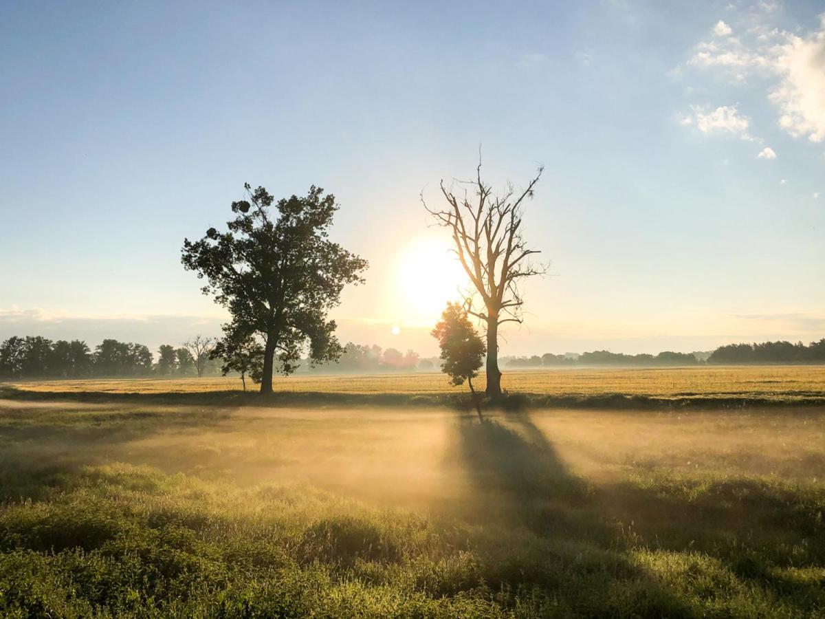 Dwor Gogolewo Nad Warta Bed & Breakfast Ksiaz Wielkopolski Bagian luar foto
